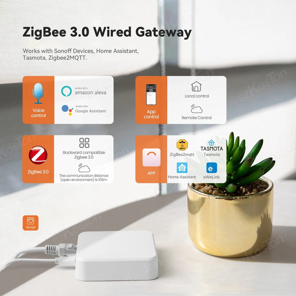 ZigBee 3.0 Smart Gateway Hub – eWeLink APP,Tasmota,Zigbee2MQTT, Home Assistant